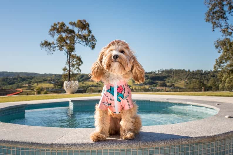 Etsy / PabloandCoBoutique