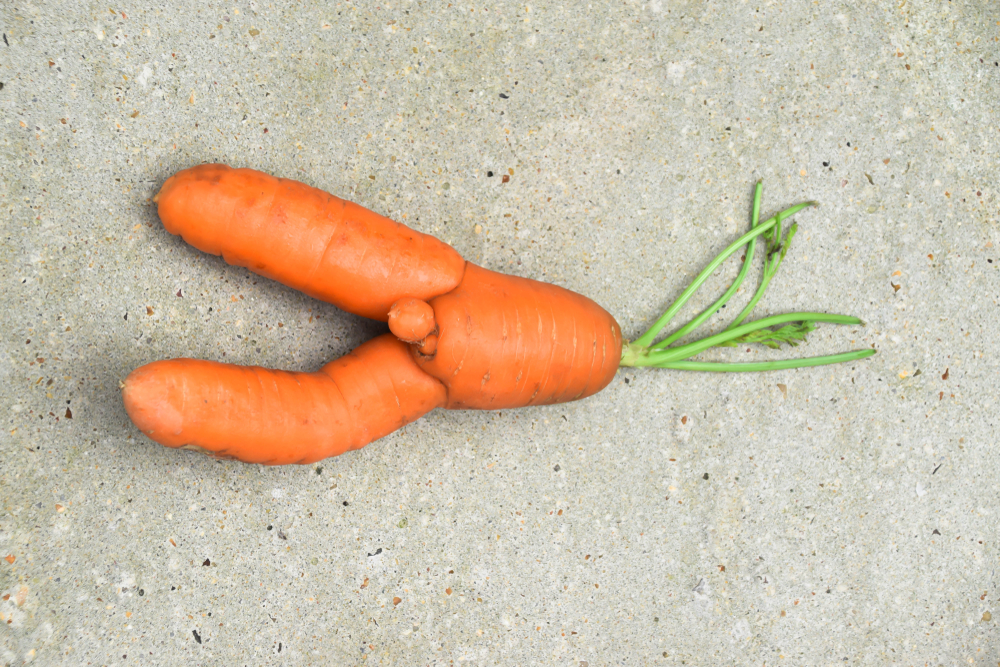 The funny-looking carrot that sheds a light on a larger issue