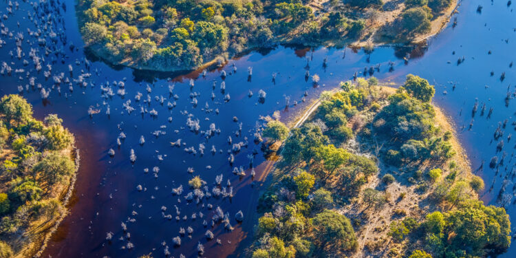 Explore the Heart of the Wild: in the Okavango Delta in Botswana